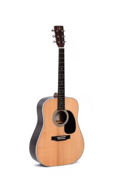 DREADNOUGHT GUITAR SPRUCE TOP TILIA BACK AND SIDES FISHMAN SONITONE PI (AB-AMI-DT-1E)