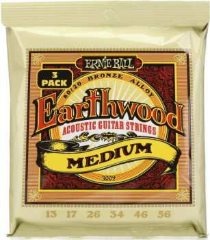 Ernie Ball 3002 Earthwood 80/20 Bronze Acoustic Guitar Strings - .013- (ER-P03002)