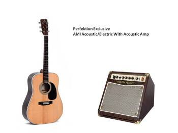 AMI DREADNOUGHT GUITAR SPRUCE TOP TILIA BACK AND SIDES FISHMAN SONITON (AB-DT-1E W/AMP)