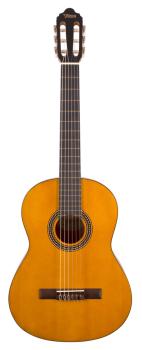 Valencia VC204 200 Series Classical Guitar. Antique Natural Finish  (VA-VC204)