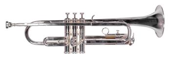 Lauren LTR110 Trumpet with Case (LA-LTR110)