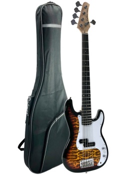 Palmer 5-String Precision Bass, Flame Brownburst + Value Packed with a (PA-PB5-FBS-VP)
