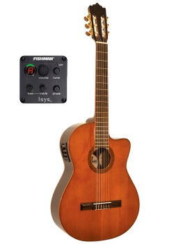 Classical Cutaway, Beautiful step-up model with upgraded electronics.  (PA-MICHELLE-CEQ-FSH)