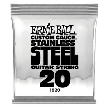 .020 Stainless Steel Wound Electric Guitar Strings 6 Pack (ER-P01920)
