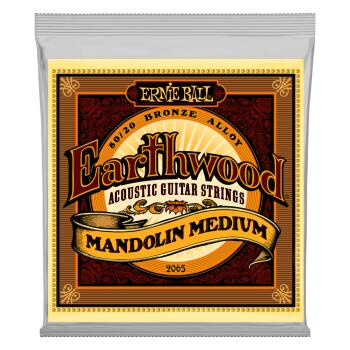 Earthwood Mandolin Medium Loop End 80/20 Bronze Acoustic Guitar String (ER-P02065)